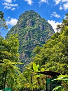 Baños Termales de Machupicchu y Cataratas