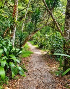 Jardines de Mandor